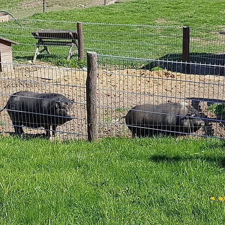 Affittacamere Und Bauernhof Petzold Greiz