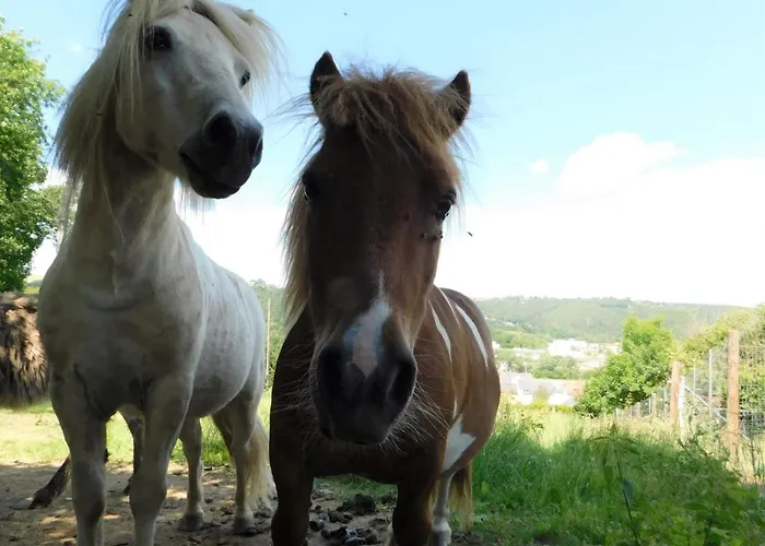 Und Bauernhof Petzold Gasthof Greiz