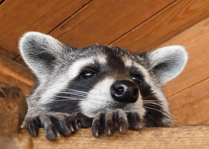 Und Bauernhof Petzold Gasthof 3*