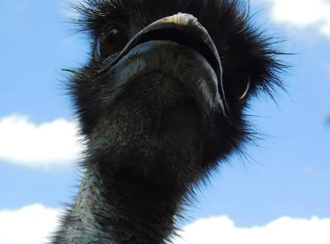 Und Bauernhof Petzold 3*