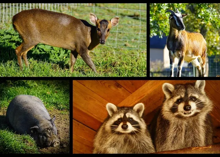 Und Bauernhof Petzold Gasthof