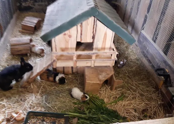 Und Bauernhof Petzold 3* Greiz