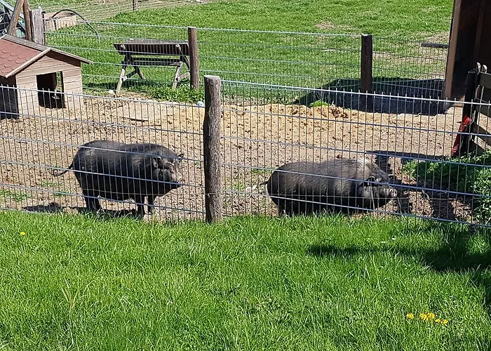 Gasthuis Und Bauernhof Petzold Greiz